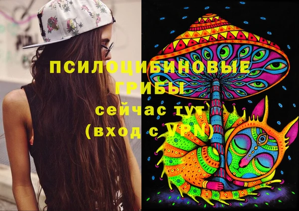 твердый Алзамай